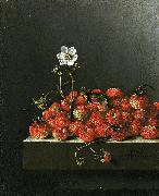 Adriaen Coorte, Still life with wild strawberries.